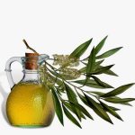 health-benefits-tea-tree-oil-1