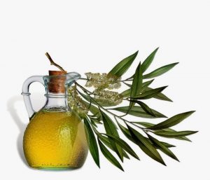 health-benefits-tea-tree-oil-1